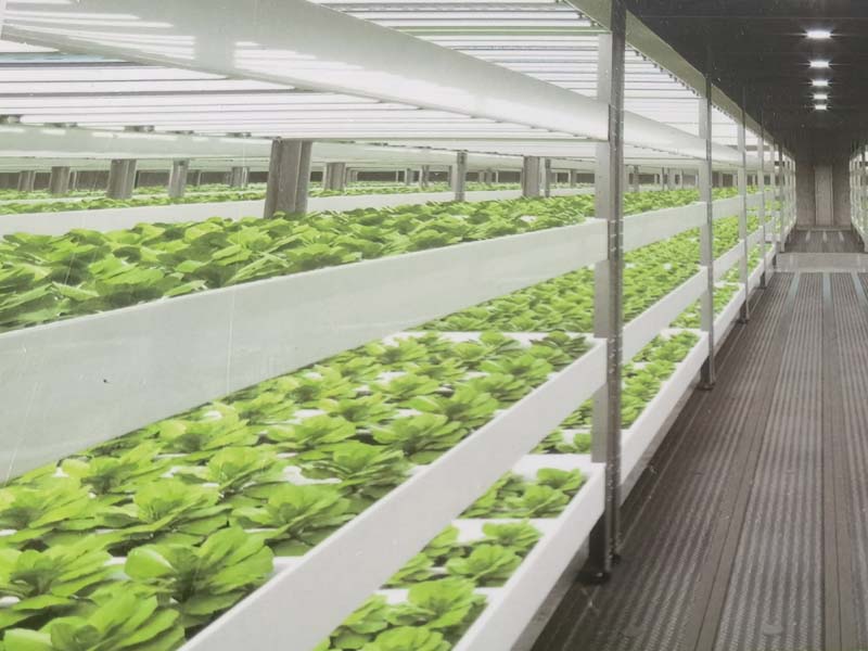 植物组培室装修施工厂家卓泰净化