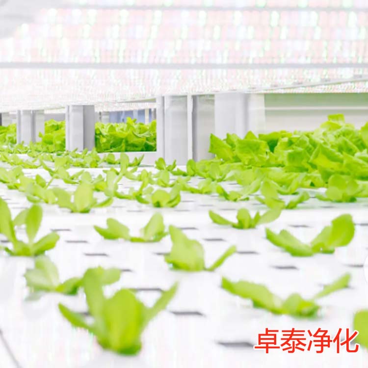 植物恒温恒湿室装修设计施工，精准控温控湿室装修建设厂家卓泰净化